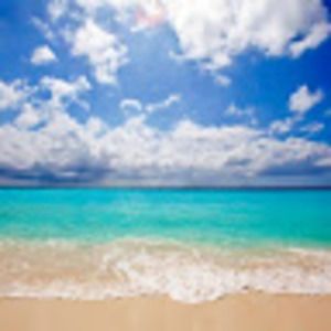 Meet your Posher, Lamont